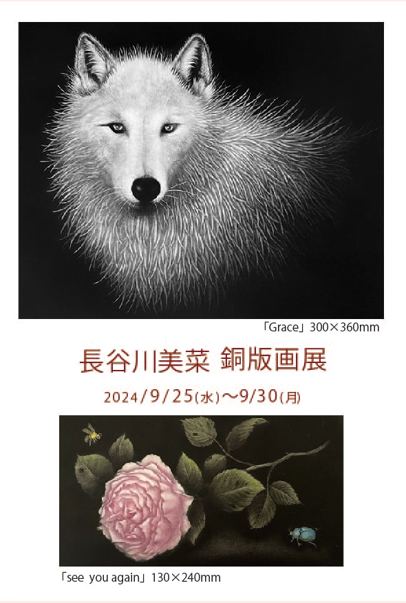 長谷川美菜 銅版画展